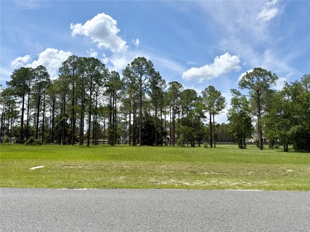 35135 PINEGATE TRAIL Eustis, FL 32736