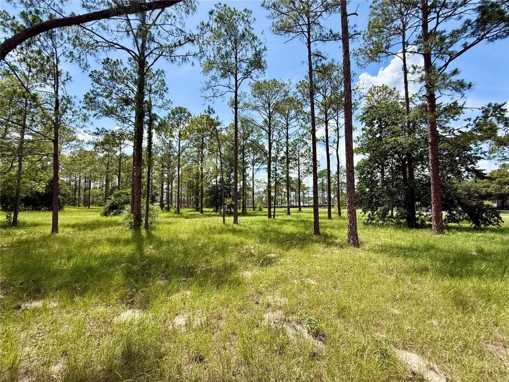 35135 PINEGATE TRAIL Eustis, FL 32736