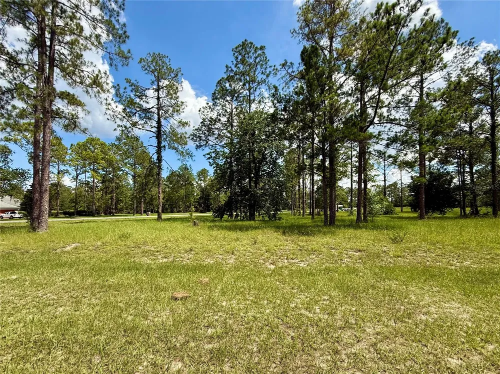 35135 PINEGATE TRAIL Eustis, FL 32736