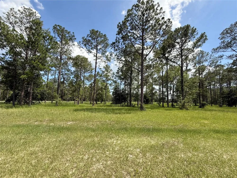 35135 PINEGATE TRAIL Eustis, FL 32736