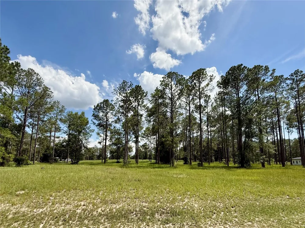 35135 PINEGATE TRAIL Eustis, FL 32736