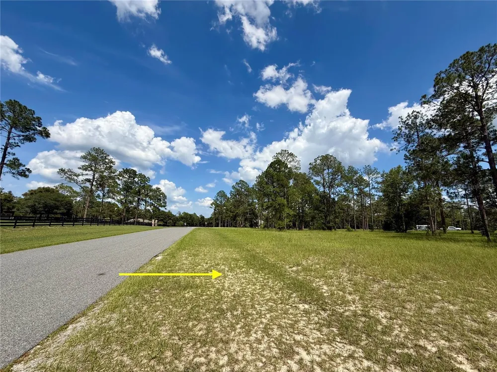 35135 PINEGATE TRAIL Eustis, FL 32736