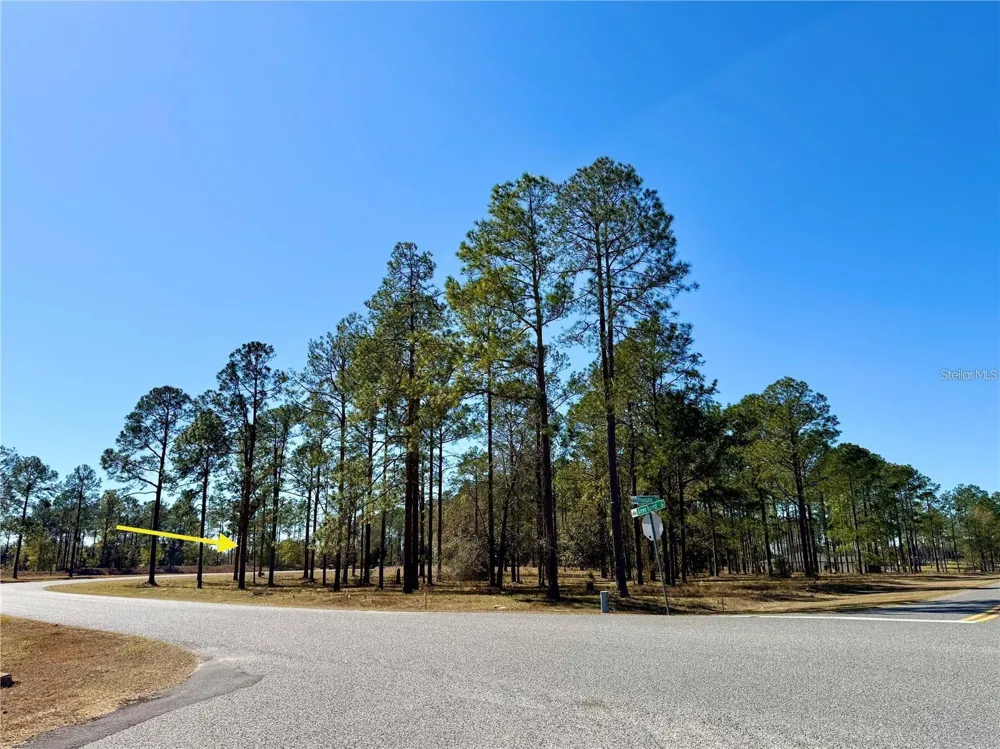 35135 PINEGATE TRAIL Eustis, FL 32736