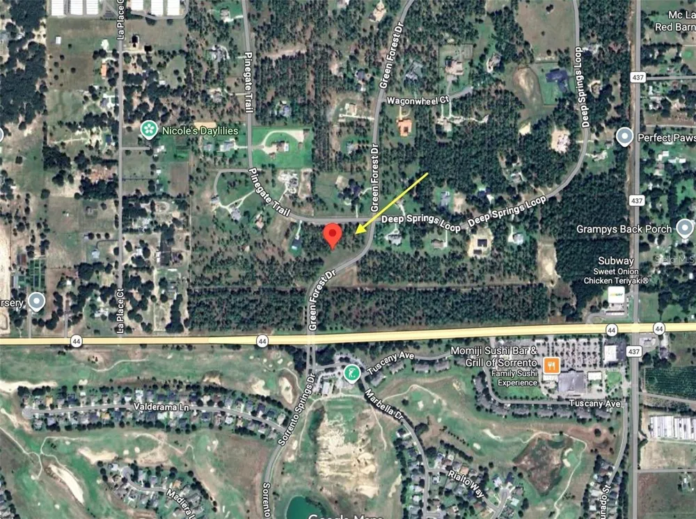 35135 PINEGATE TRAIL Eustis, FL 32736