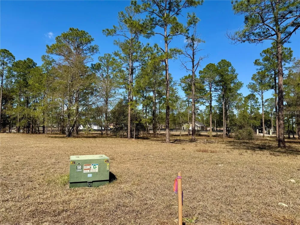 35135 PINEGATE TRAIL Eustis, FL 32736
