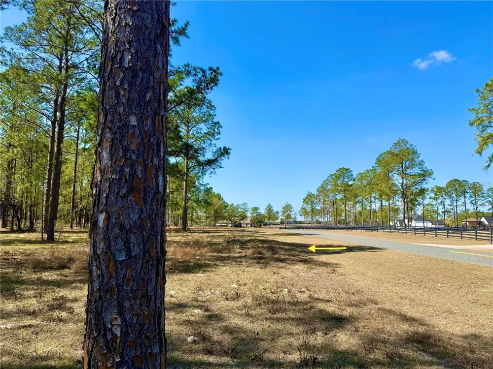 35135 PINEGATE TRAIL Eustis, FL 32736
