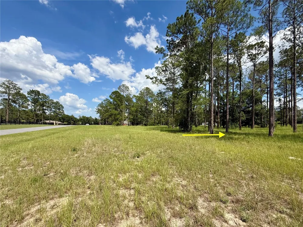 35135 PINEGATE TRAIL Eustis, FL 32736