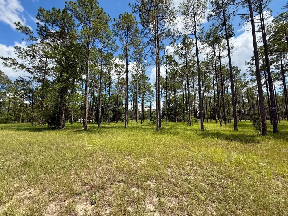 35135 PINEGATE TRAIL Eustis, FL 32736