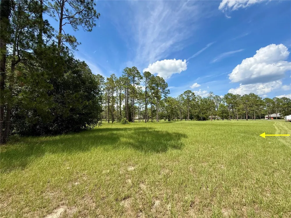 35135 PINEGATE TRAIL Eustis, FL 32736