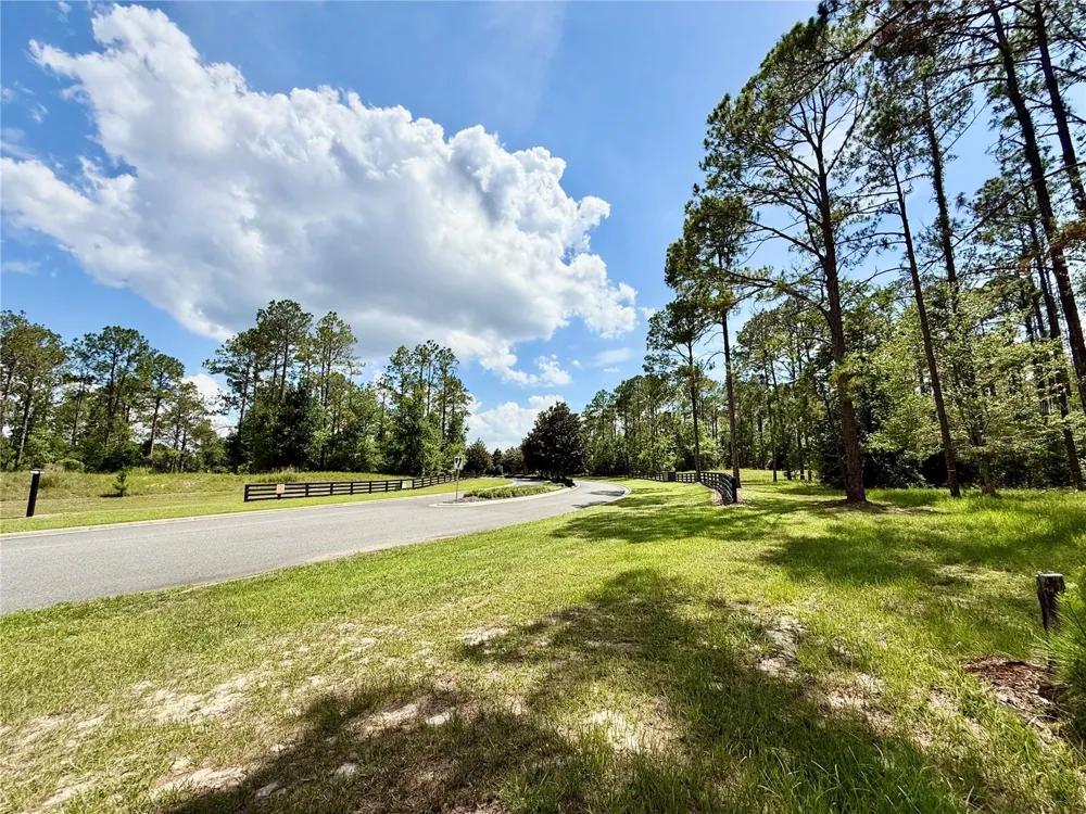 35135 PINEGATE TRAIL Eustis, FL 32736