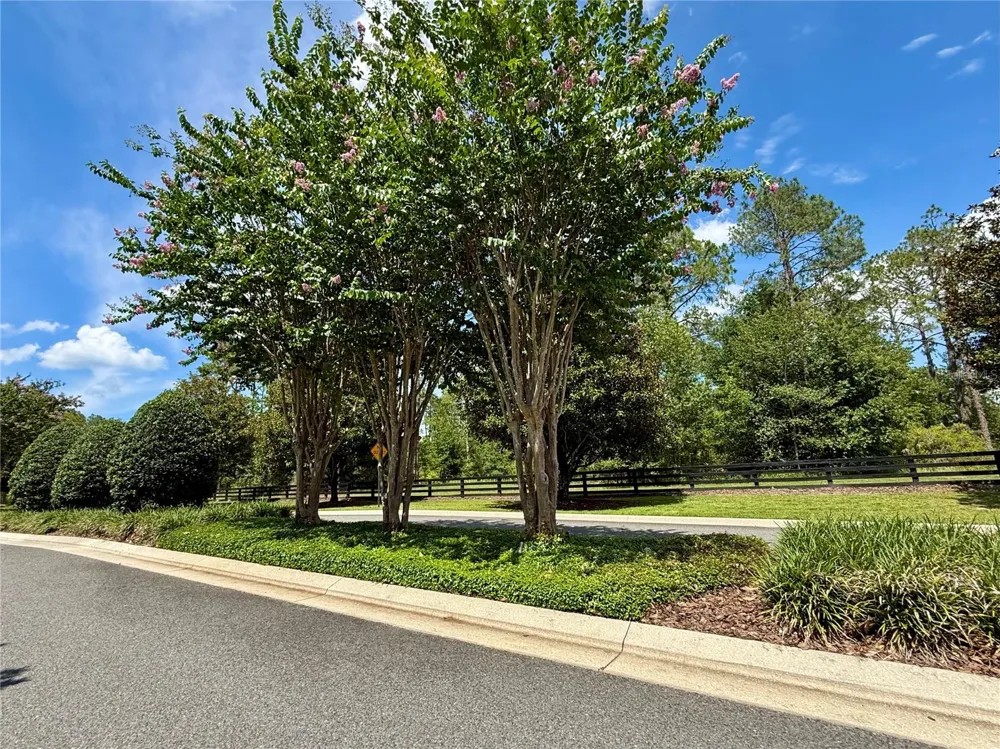 35135 PINEGATE TRAIL Eustis, FL 32736