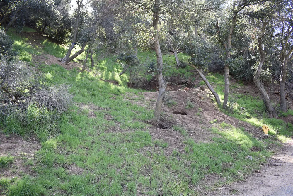 Austin Way / Lakeshore Rd Lake Hughes, CA 93532