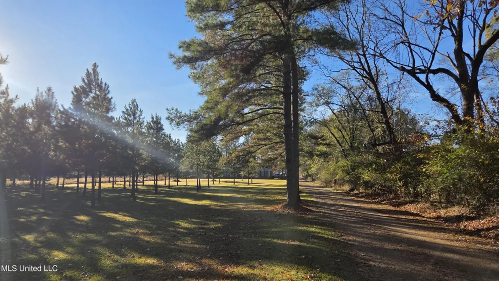 4839 Cayuga Road Utica, MS 39175