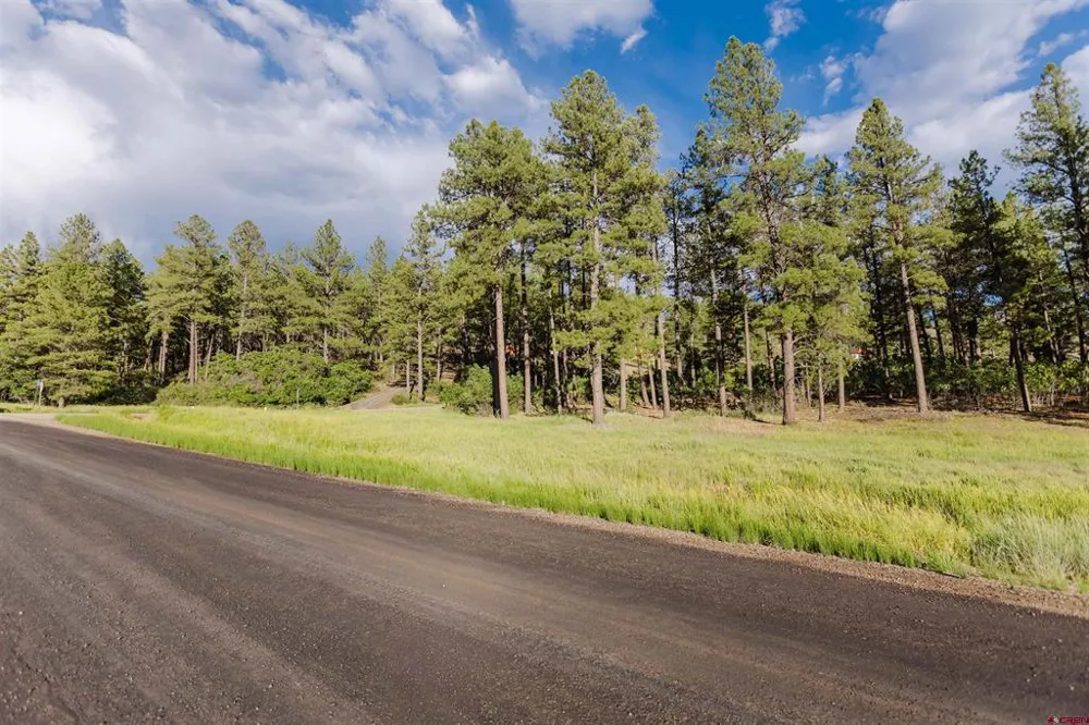 359 Ironwood Drive Pagosa Springs, CO 81147