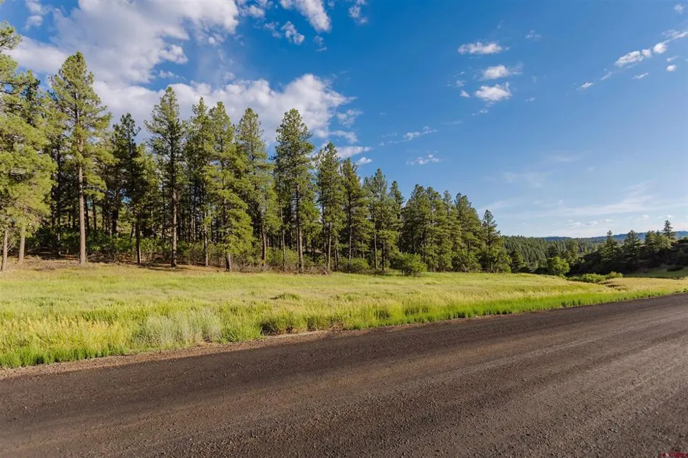 359 Ironwood Drive Pagosa Springs, CO 81147