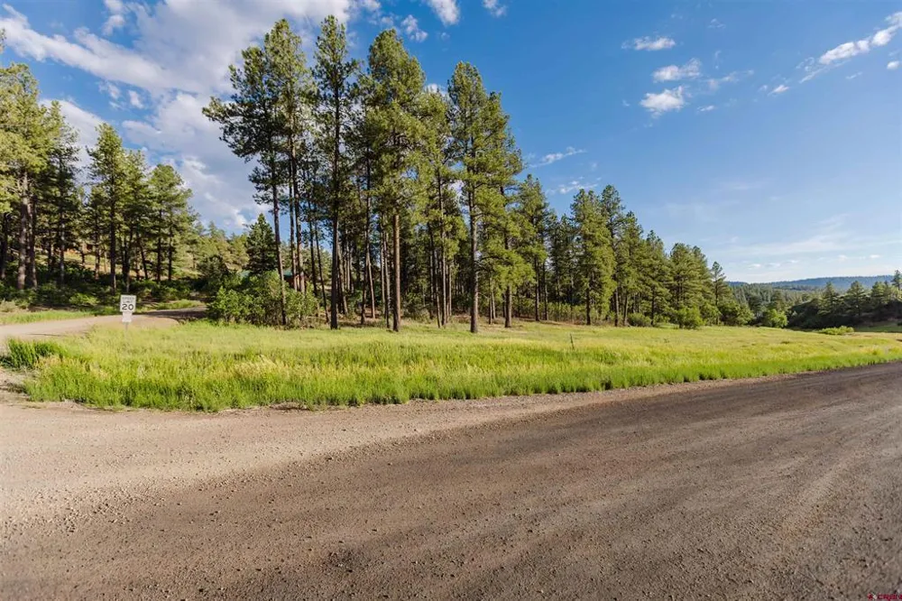 359 Ironwood Drive Pagosa Springs, CO 81147