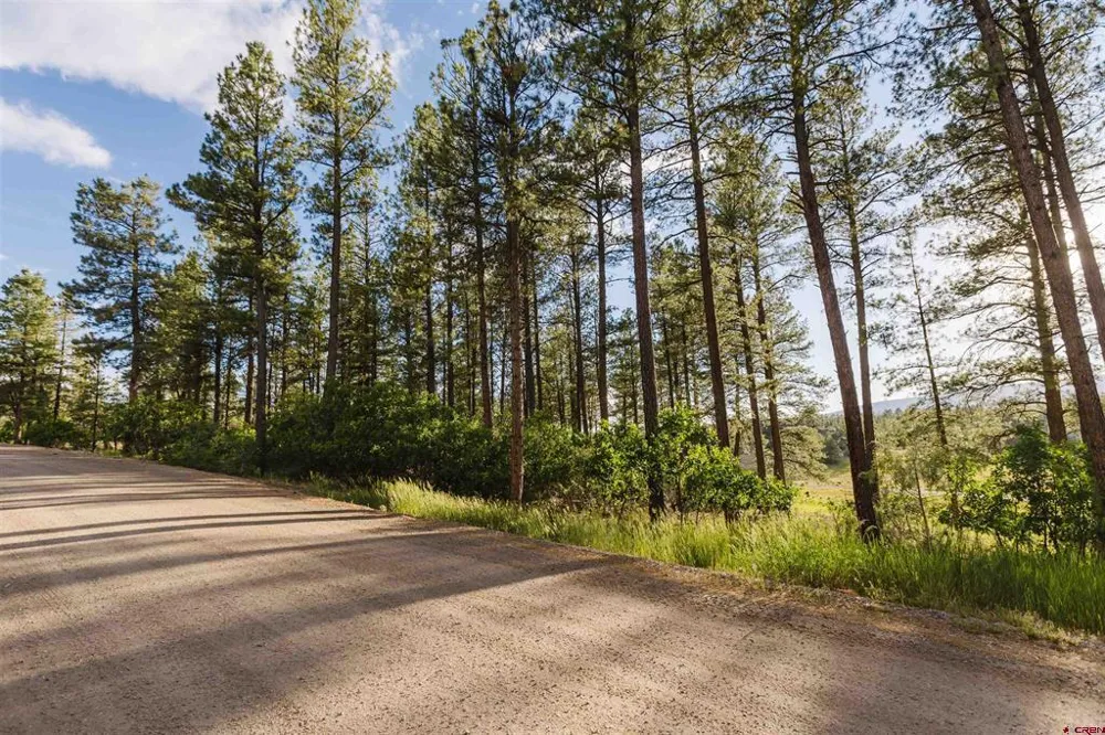 359 Ironwood Drive Pagosa Springs, CO 81147