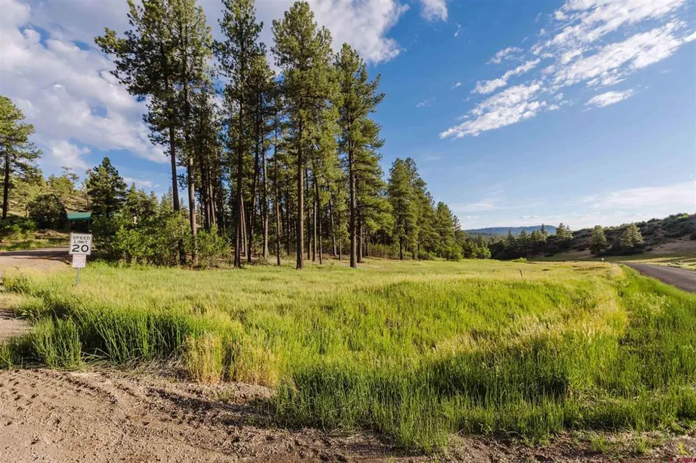 359 Ironwood Drive Pagosa Springs, CO 81147