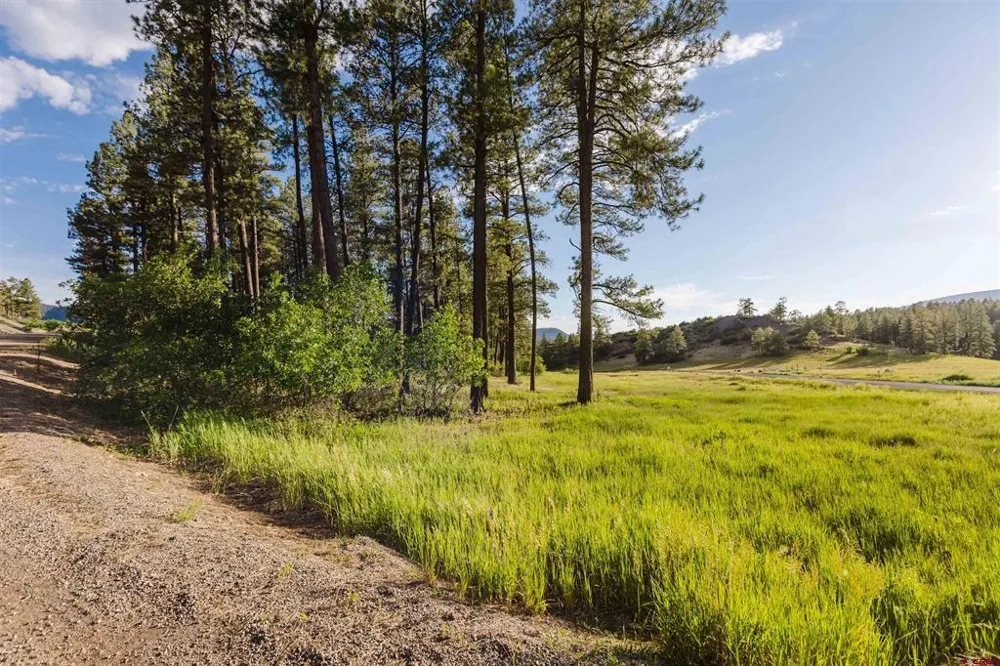 359 Ironwood Drive Pagosa Springs, CO 81147