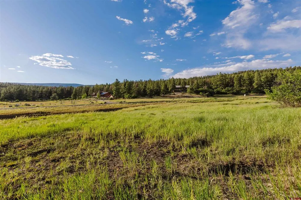 359 Ironwood Drive Pagosa Springs, CO 81147