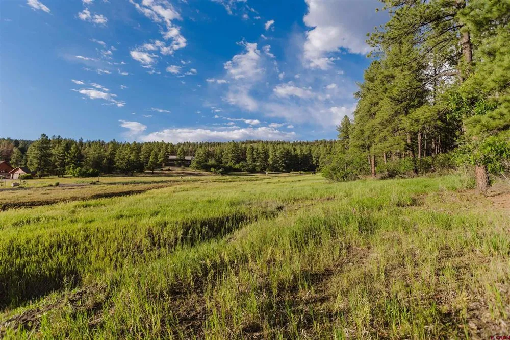 359 Ironwood Drive Pagosa Springs, CO 81147