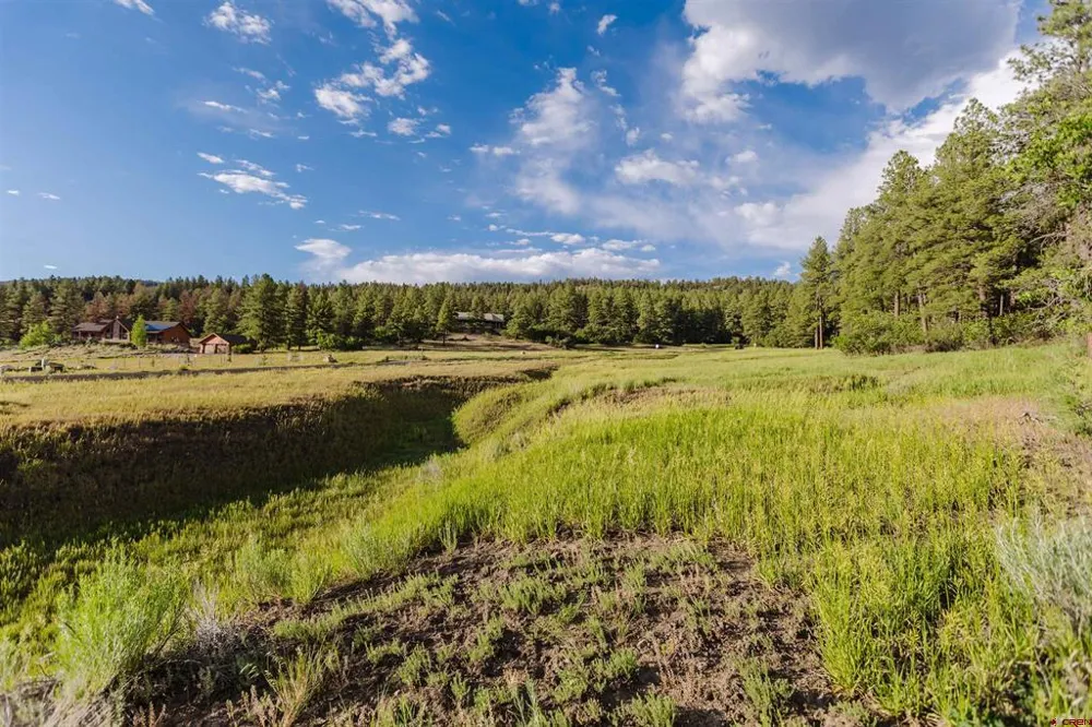 359 Ironwood Drive Pagosa Springs, CO 81147