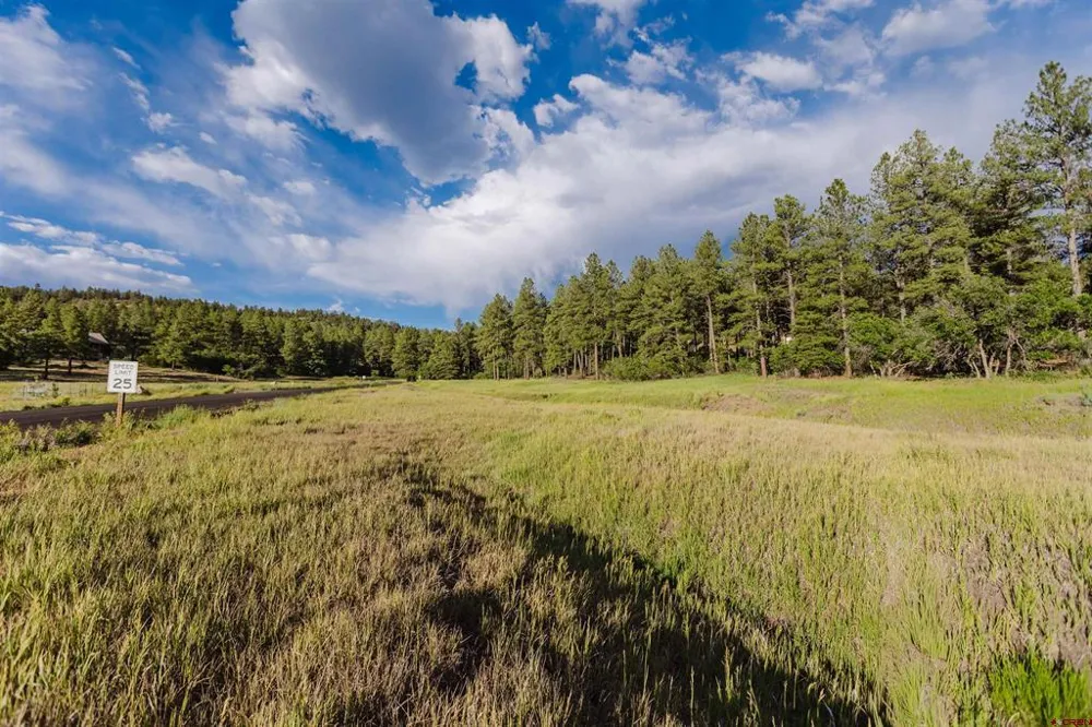 359 Ironwood Drive Pagosa Springs, CO 81147