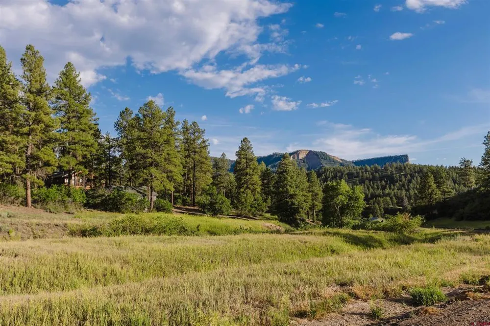 359 Ironwood Drive Pagosa Springs, CO 81147