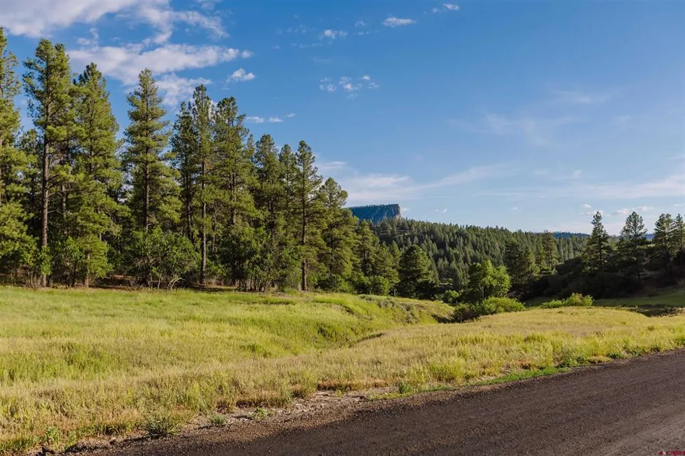 359 Ironwood Drive Pagosa Springs, CO 81147