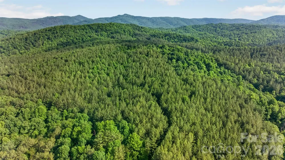 485 Frog Creek Road Union Mills, NC 28167