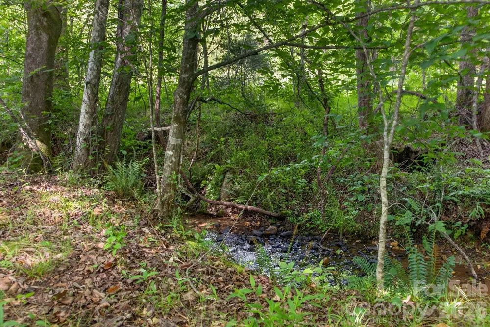 485 Frog Creek Road Union Mills, NC 28167
