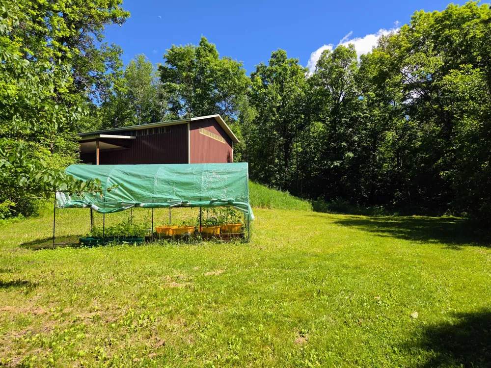 17094 Hidden Lake Road Fifty Lakes, MN 56448