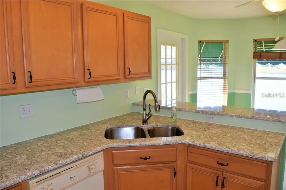 29530 WAGGLE DRIVE San Antonio, FL 33576