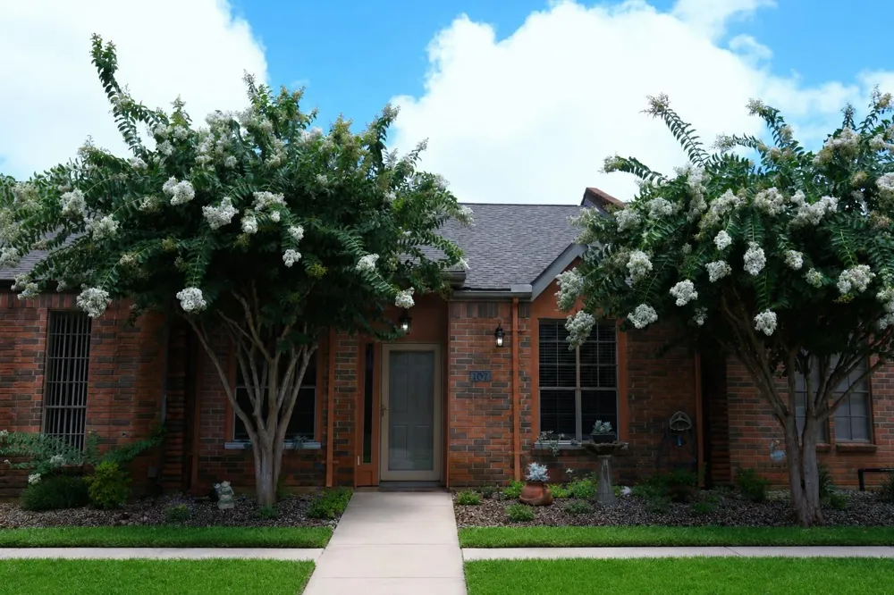 107 Manor Place Lake Jackson, TX 77566