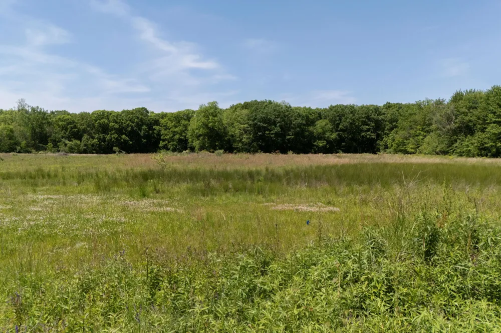 1 Lakeside Road New Buffalo, MI 49117