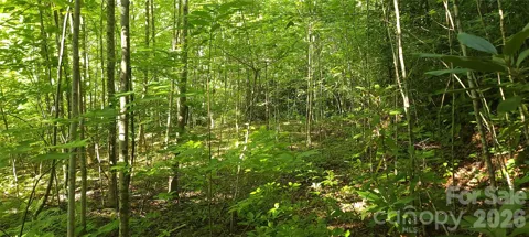 Lot# 19 Mill Creek Road