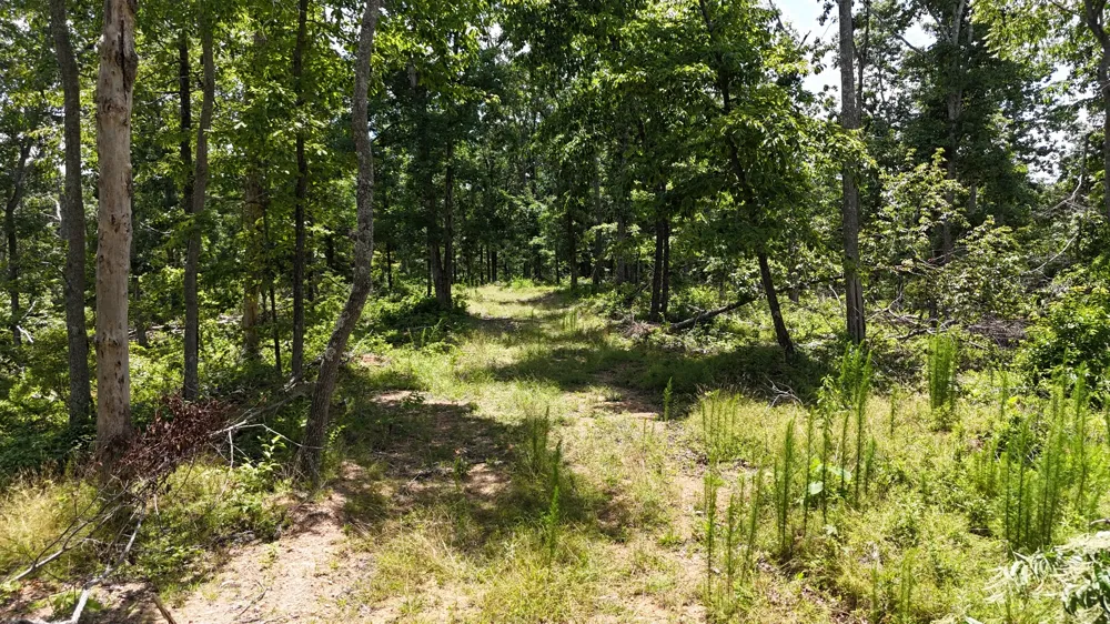 0 Wedgewood Dr Linden, TN 37096