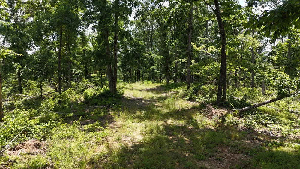 0 Wedgewood Dr Linden, TN 37096