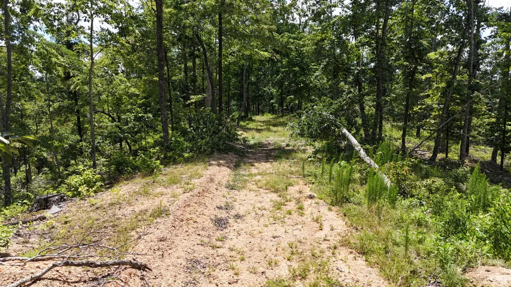 0 Wedgewood Dr Linden, TN 37096