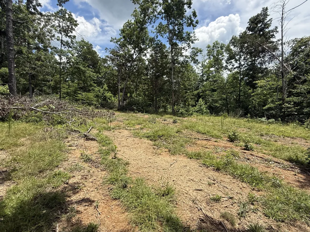 0 Wedgewood Dr Linden, TN 37096