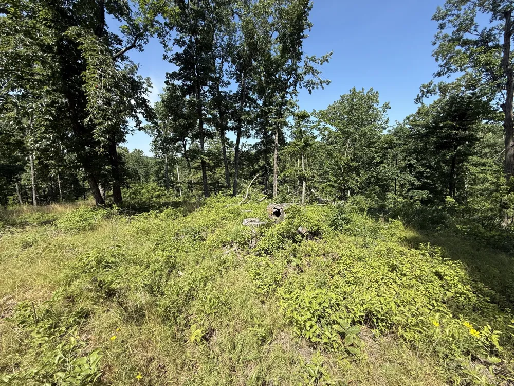 0 Wedgewood Dr Linden, TN 37096