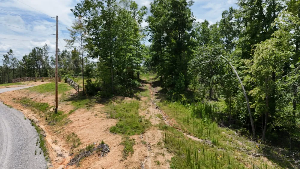 0 Wedgewood Dr Linden, TN 37096