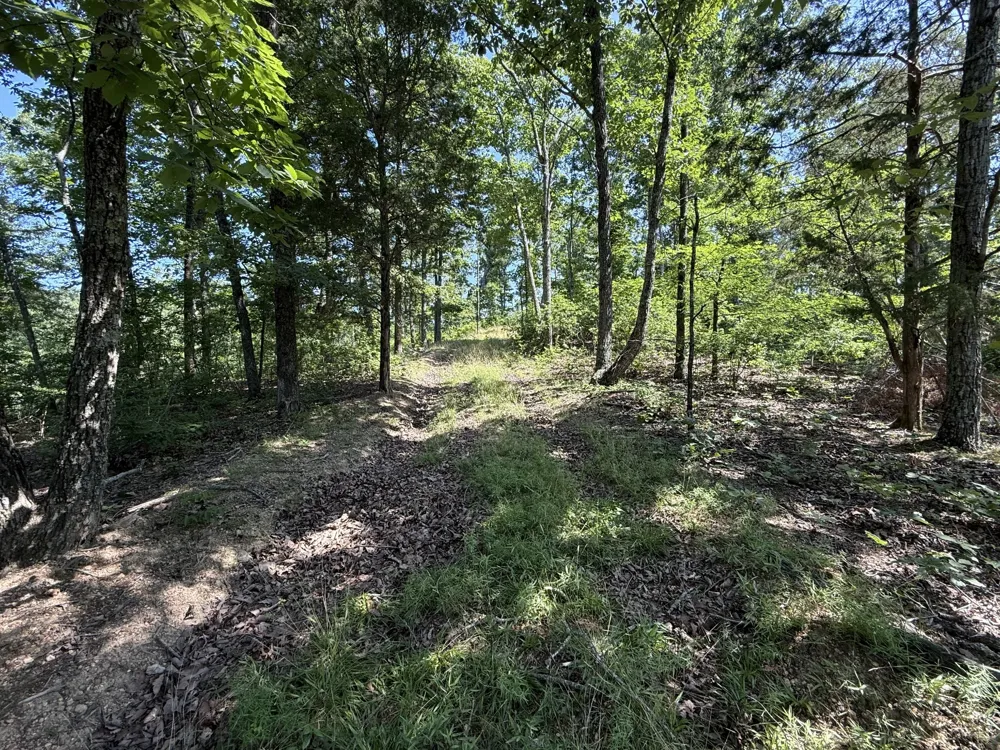 0 Wedgewood Dr Linden, TN 37096