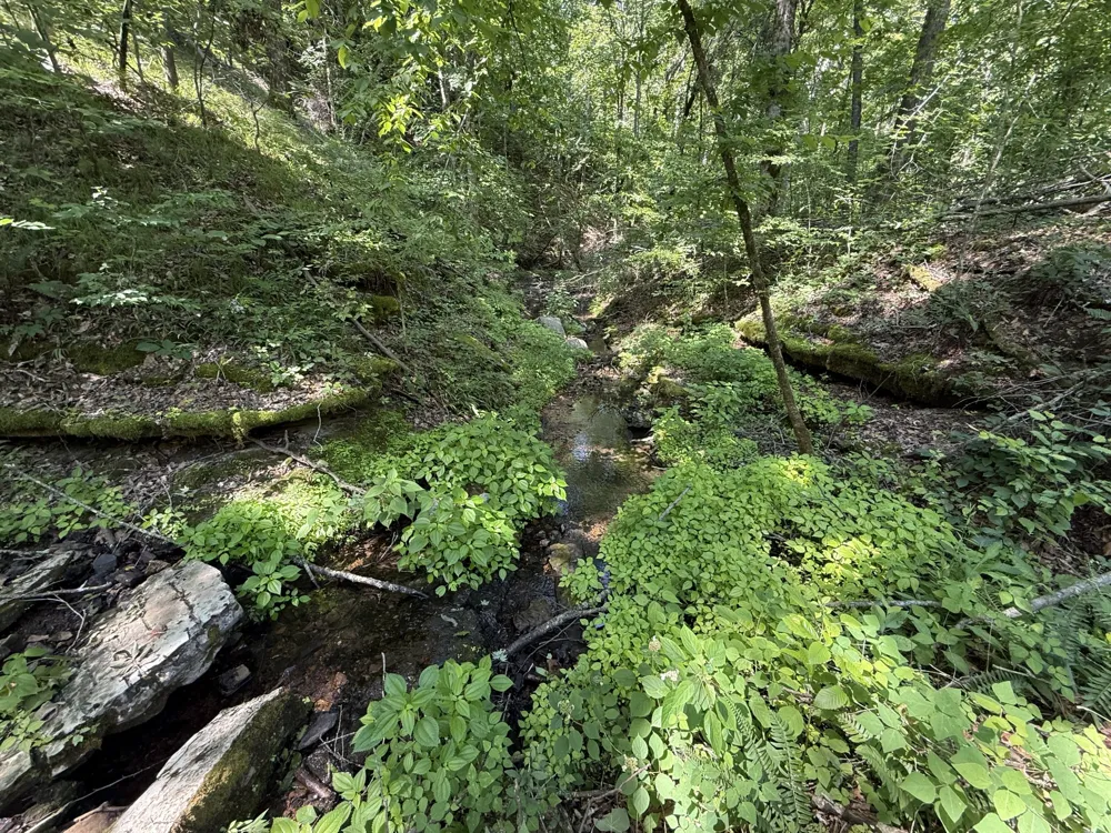 0 Wedgewood Dr Linden, TN 37096