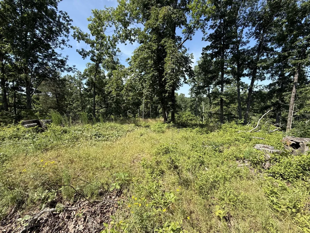 0 Wedgewood Dr Linden, TN 37096