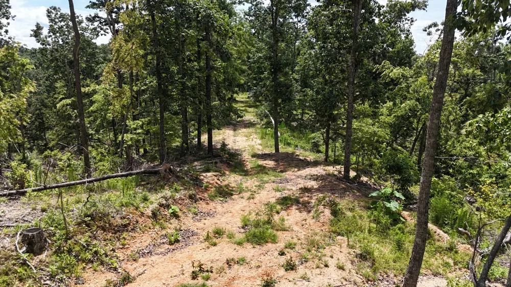 0 Wedgewood Dr Linden, TN 37096