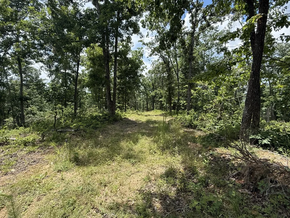 0 Wedgewood Dr Linden, TN 37096