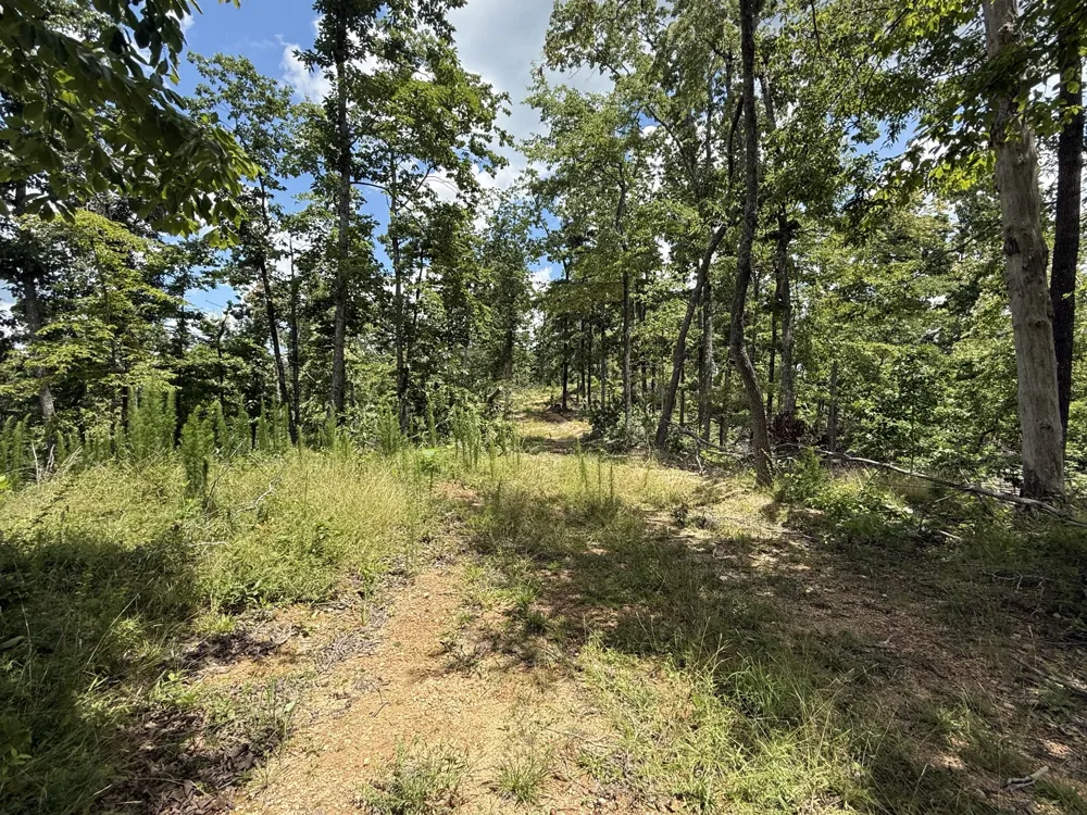 0 Wedgewood Dr Linden, TN 37096