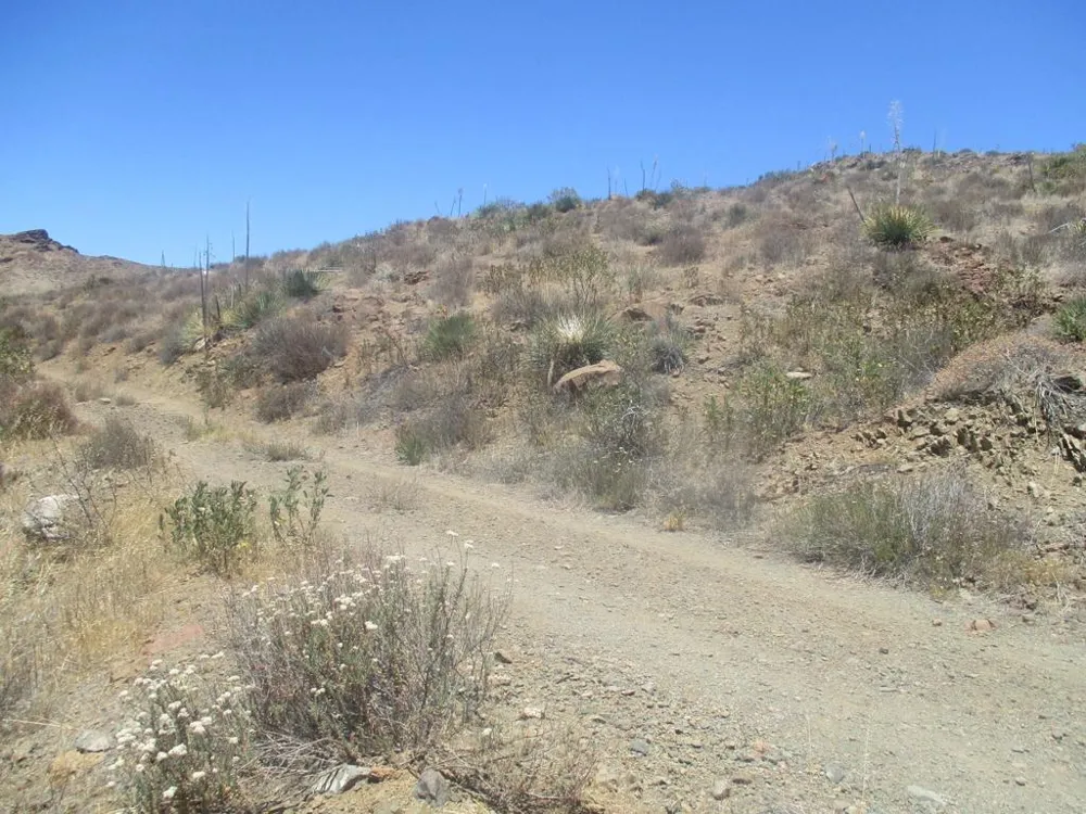 28 Hughes Acton, CA 93510