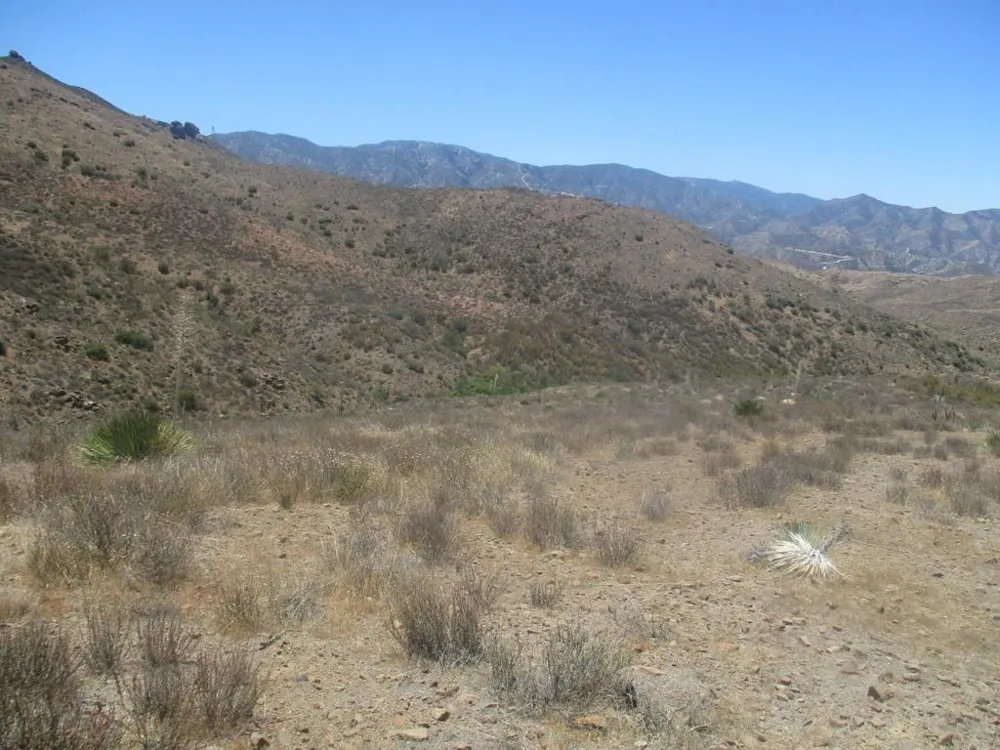 28 Hughes Acton, CA 93510